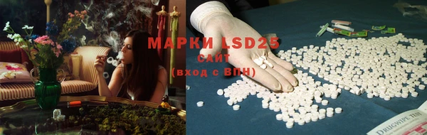 spice Абаза