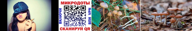 Галлюциногенные грибы Cubensis  Алзамай 